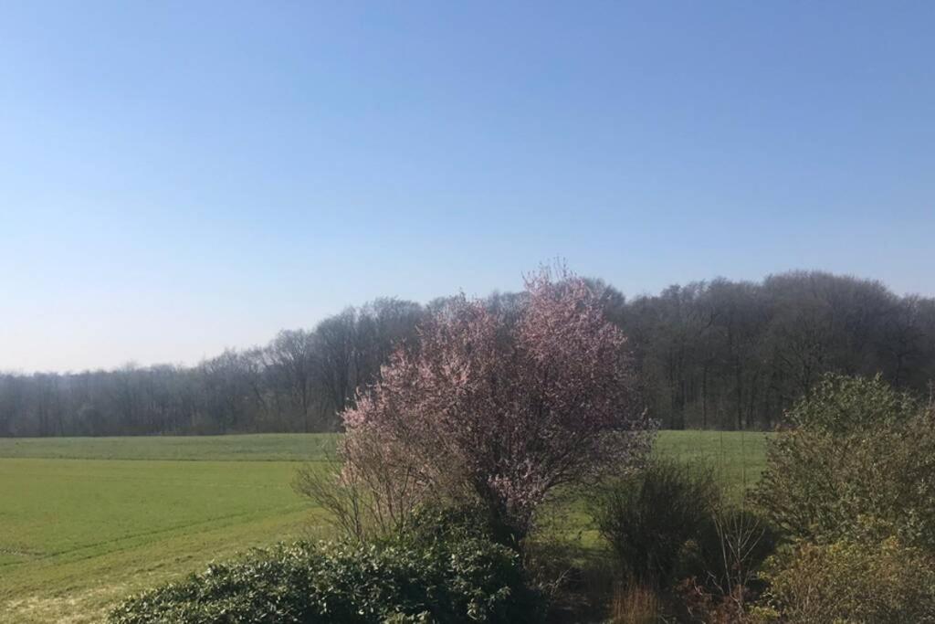 Ferienwohnung auf dem Land und trotzdem stadtnah. 2 Greßbrink, 32051 Herford