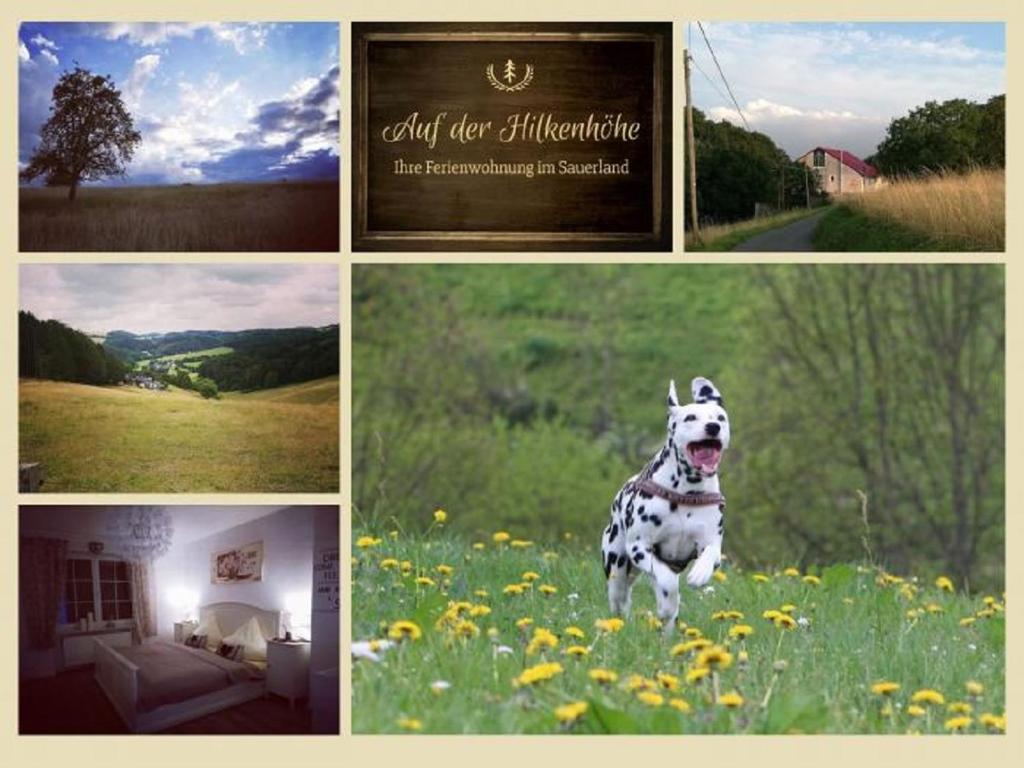 Appartement Ferienwohnung auf der Hilkenhöhe Hilkenhohler Weg 90 58644 Iserlohn