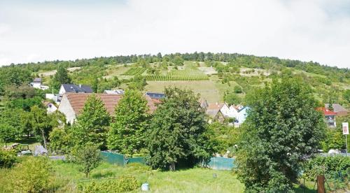 Ferienwohnung Balbach,\
