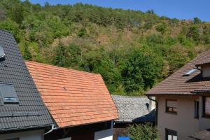 Ferienwohnung Basler
