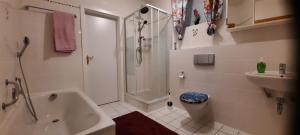 Appartement Ferienwohnung Bausenbergblick 9 Dahlienweg 56651 Niederzissen Rhénanie-Palatinat