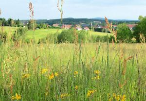 Appartement Ferienwohnung \ Klippe 1 38877 Benneckenstein Saxe-Anhalt