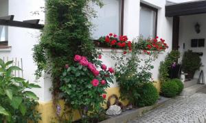 Ferienwohnung \