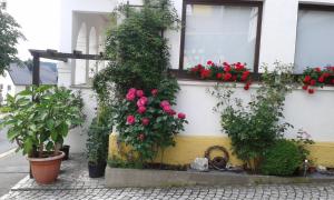 Ferienwohnung \