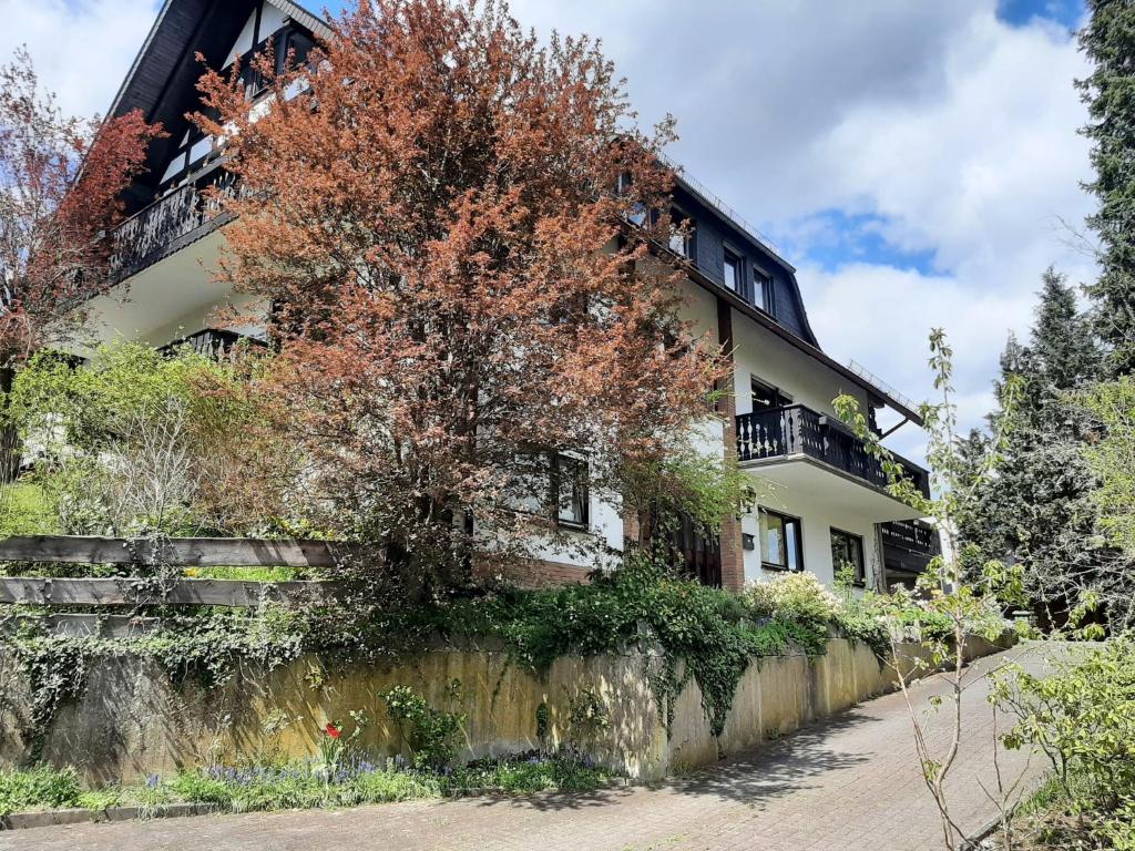 Ferienwohnung Bergblick - a63503 Höfestraße 17, 59969 Hallenberg