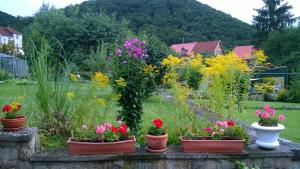 Ferienwohnung Bergblick - inklusive Bodetal Therme