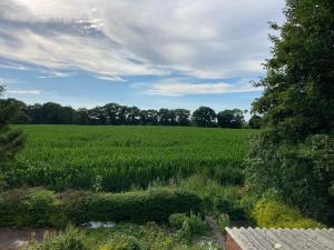 Appartement Ferienwohnung Berta 25508 Hauptstraße 106 26826 Weener Basse-Saxe