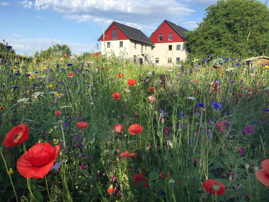Ferienwohnung Bienenhäusle in Grünkraut / Ravensburg Atzenweiler 40, 88287 Grünkraut