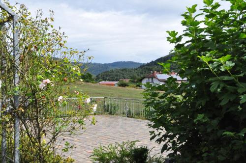 Ferienwohnung Blick in den Wasgau
