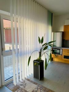 Appartement Ferienwohnung Blumenwiese - MAIGLÖCKCHEN Königstraße 23 97957 Großrinderfeld Bade-Wurtemberg