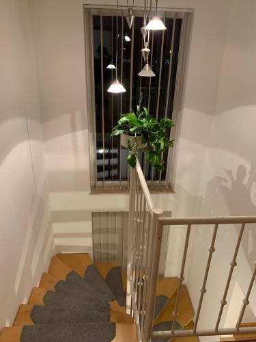 Ferienwohnung Blütenstadt