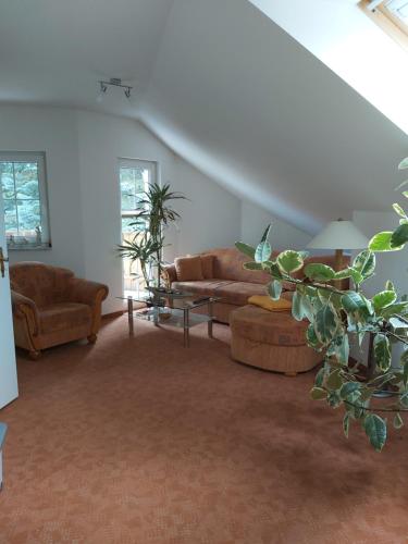 Ferienwohnung Blütenstadt Werder-Havel