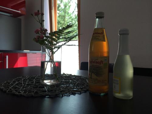 Ferienwohnung Blütenweg Kluftern