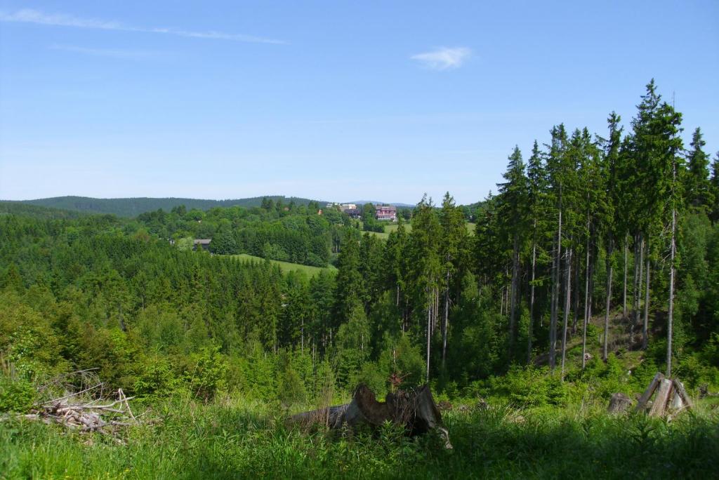 Ferienwohnung \ Am Kurpark 3 Panoramic, 38700 Braunlage