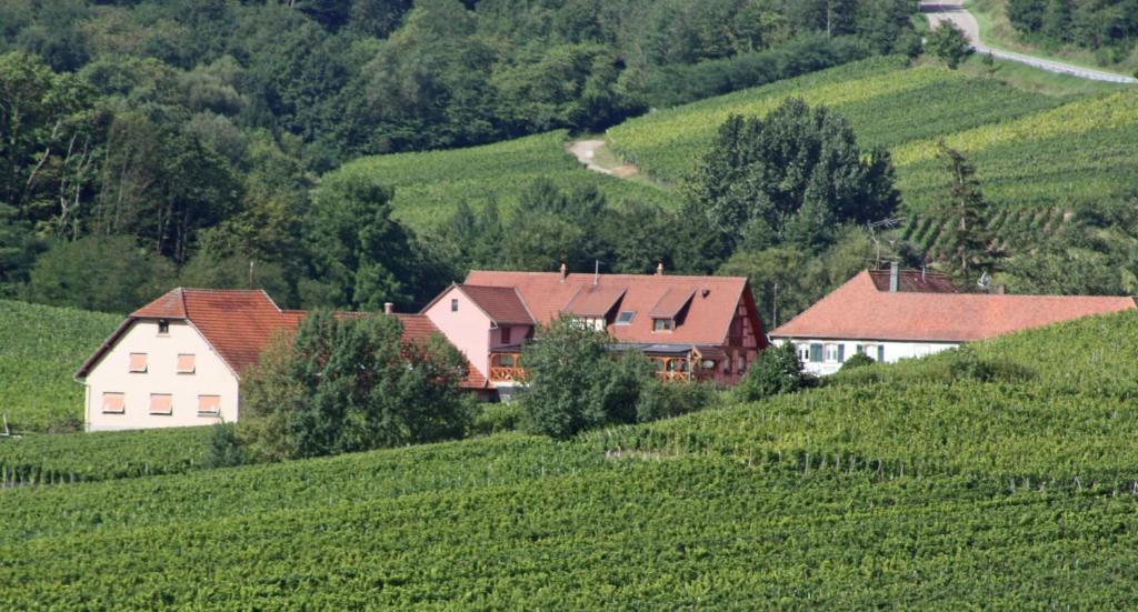 Ferienwohnung Buche