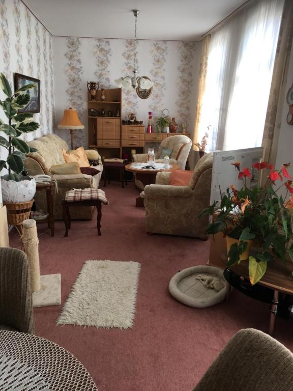 Ferienwohnung bunte Stadt an der Elde Grüner Steig 6, 19300 Grabow