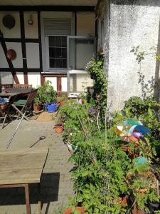 Ferienwohnung Burg Lindenfels