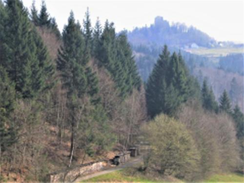 Ferienwohnung Burgblick