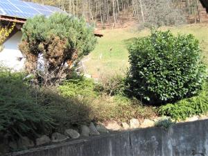 Ferienwohnung Burgblick