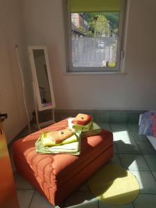 Ferienwohnung Burgenblick