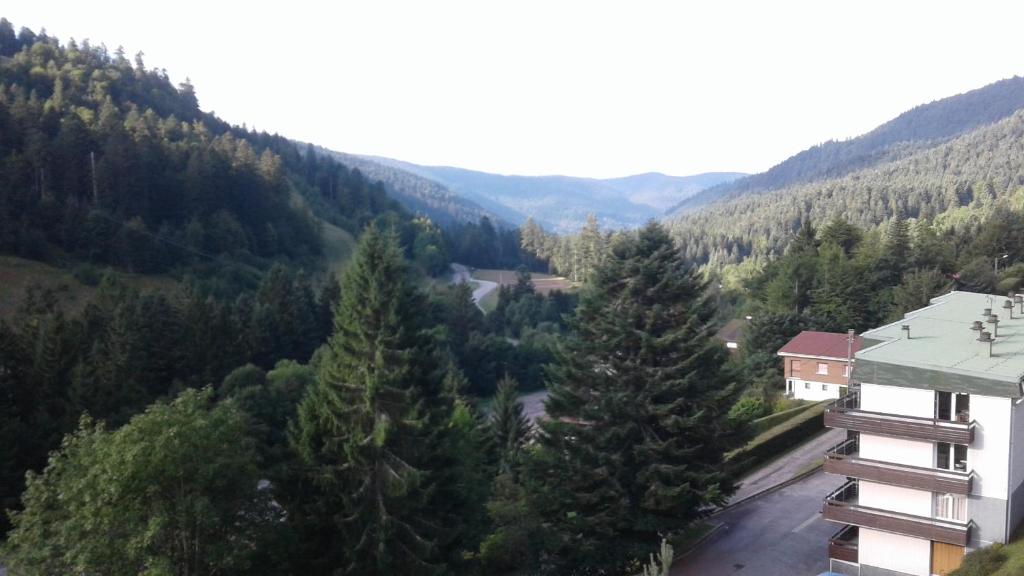 Ferienwohnung Camping Buchholz
