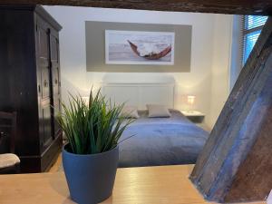 Ferienwohnung Casa Conti Goslar
