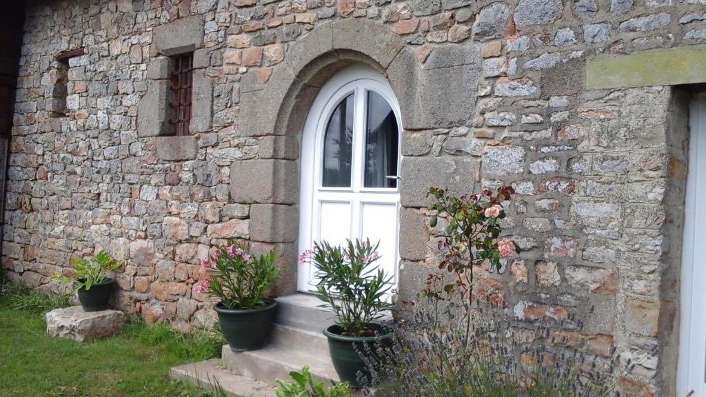 Ferienwohnung Chihuahua 18586 Thiessow