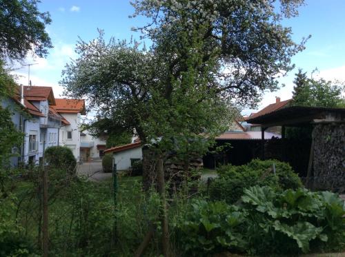 Ferienwohnung Christiane - nagelneue, moderne Ferienwohnung mit Blick ins Grüne