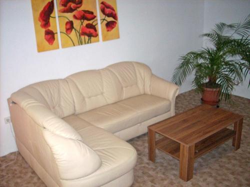 Ferienwohnung Conow SEE 9211