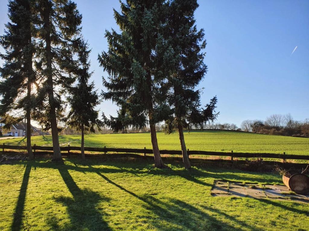 Ferienwohnung Daliah Am Schmiedeberg 55, 23758, 23758 Wangels