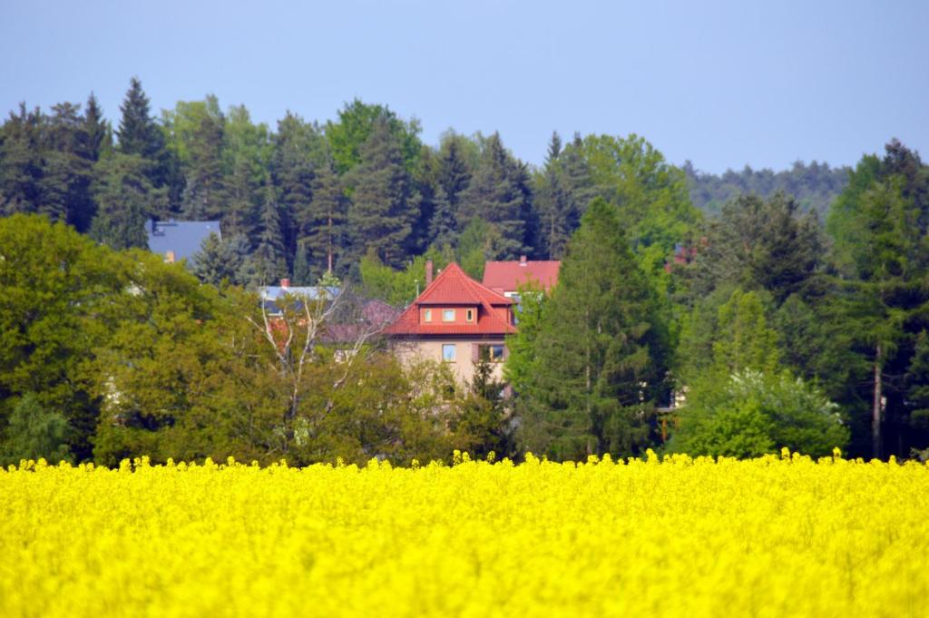 Ferienwohnung Deutschmann Buchaer Strasse 10, 04774 Schmannewitz