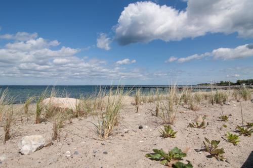 Ferienwohnung direkt am Strand der Ostsee