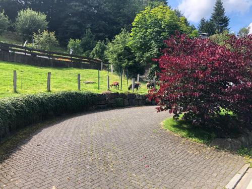 Ferienwohnung Donner am Wald mit Garten & Hot-Tub