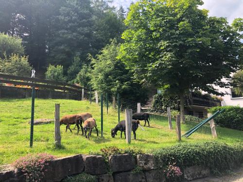 Ferienwohnung Donner am Wald mit Garten & Hot-Tub