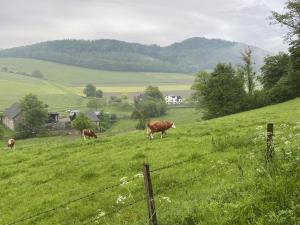 Ferienwohnung Donner