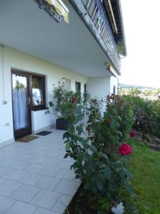 Appartement Ferienwohnung Dora 1 Am Donnersberg 13 64720 Michelstadt Hesse