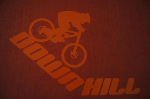Ferienwohnung Downhill am Bocksberg