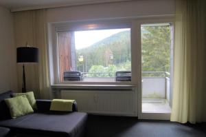 Ferienwohnung Downhill am Bocksberg