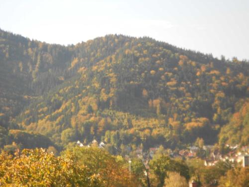 Ferienwohnung Ebnet