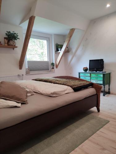 Ferienwohnung-Eider-im-Karolinenkoog-Erholung-zwischen-Feld-und-Deich