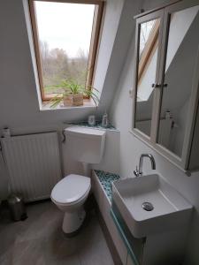 Ferienwohnung-Eider-im-Karolinenkoog-Erholung-zwischen-Feld-und-Deich