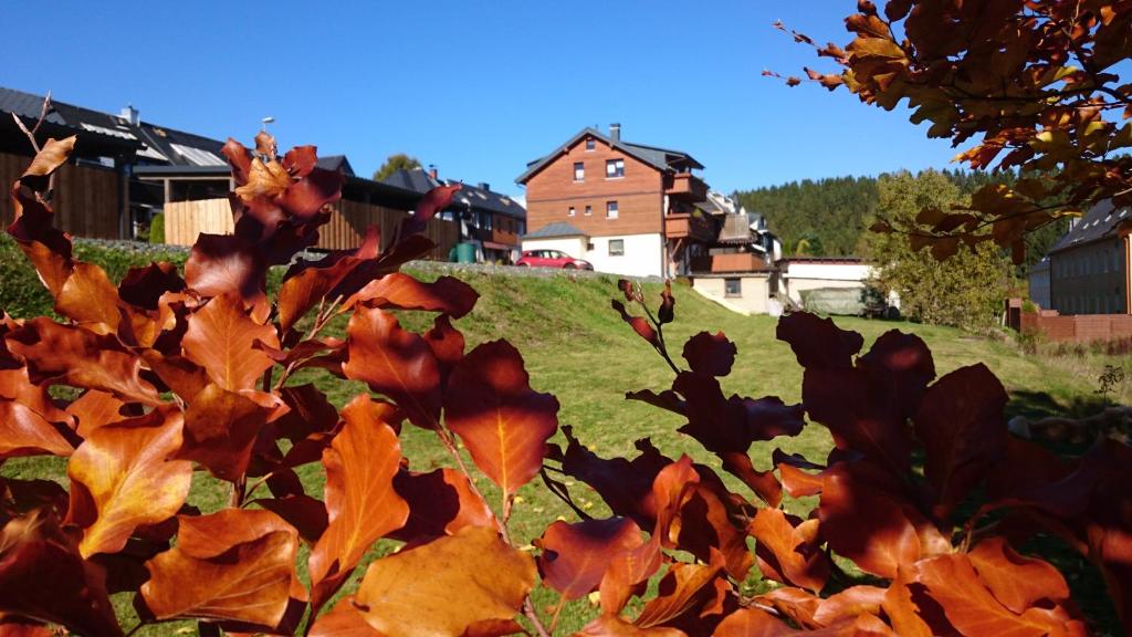Ferienwohnung Elisabeth 50 Gartenstraße, 08248 Klingenthal