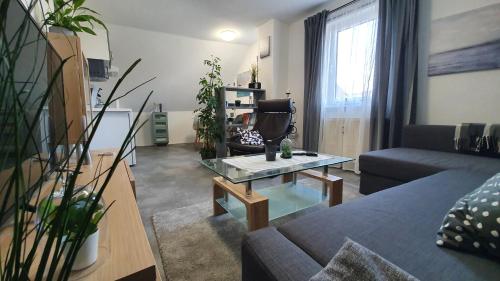 Ferienwohnung Elsa