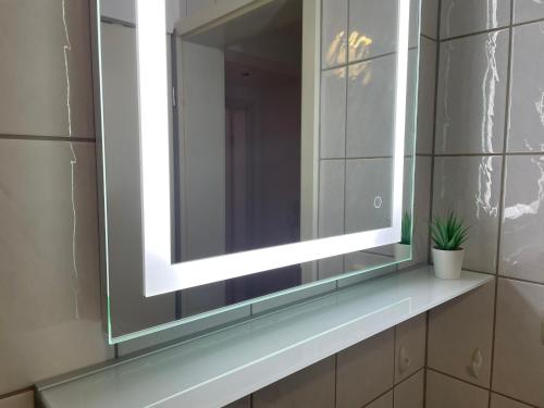 Ferienwohnung Erfurt Domplatz