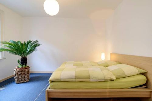 Ferienwohnung Erfurter Altstadt