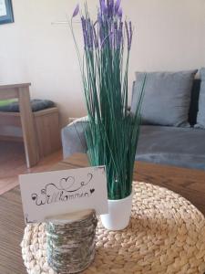 Ferienwohnung Falke