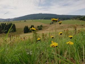 Ferienwohnung Familie Leupold