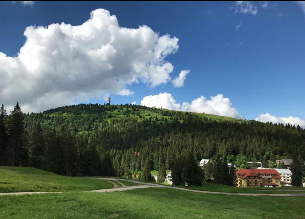 Appartement Ferienwohnung Feldberg mit Whirlpool direkt an der Skipiste 13 Passhöhe Wohnung 212 79868 Feldberg