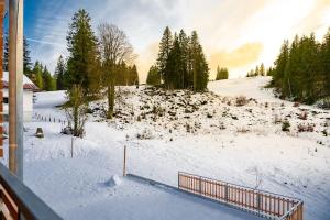 Appartement Ferienwohnung Feldberg Schwarzwald An der Wiesenquelle 1 79868 Feldberg Bade-Wurtemberg