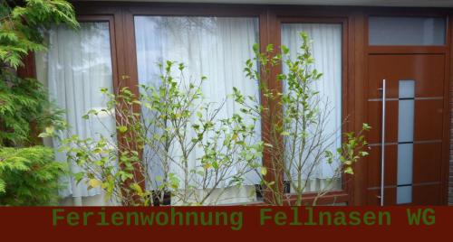 Ferienwohnung Fellnasen WG